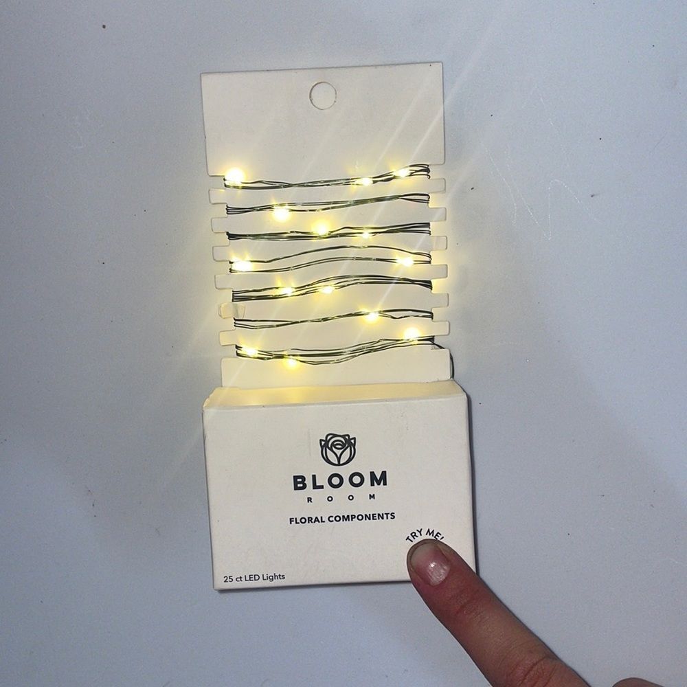 Bloom Room 25 ct LED Mini Green Wire with Warm White String Lights